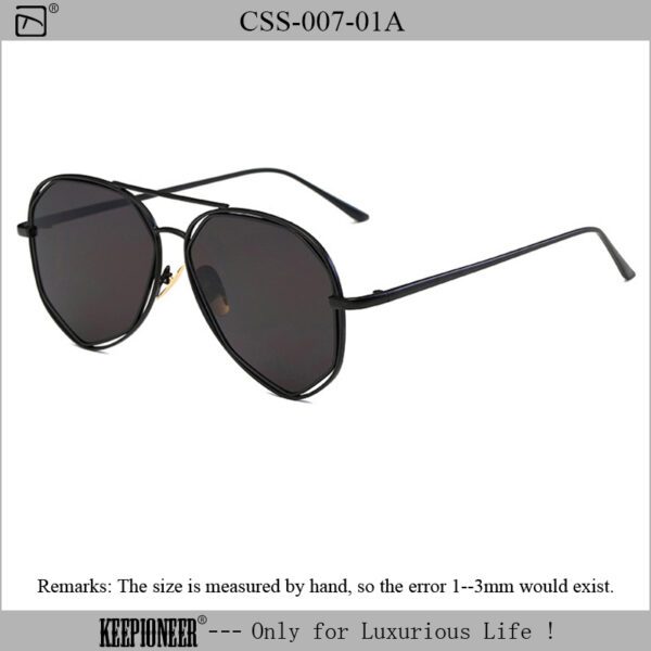 Black Aviator Shades